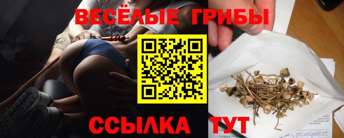 Ейск  Псилоцибиновые грибы прущие грибы  даркнет сайт  Вход с VPN 
