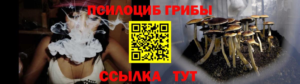Галлюциногенные грибы MAGIC MUSHROOMS Ейск